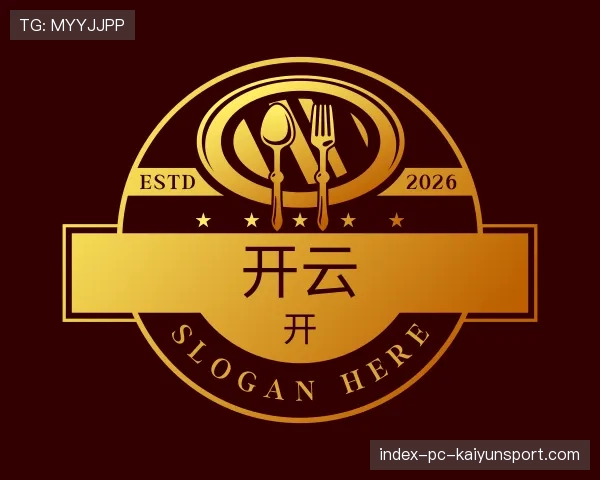 介绍开云世界杯